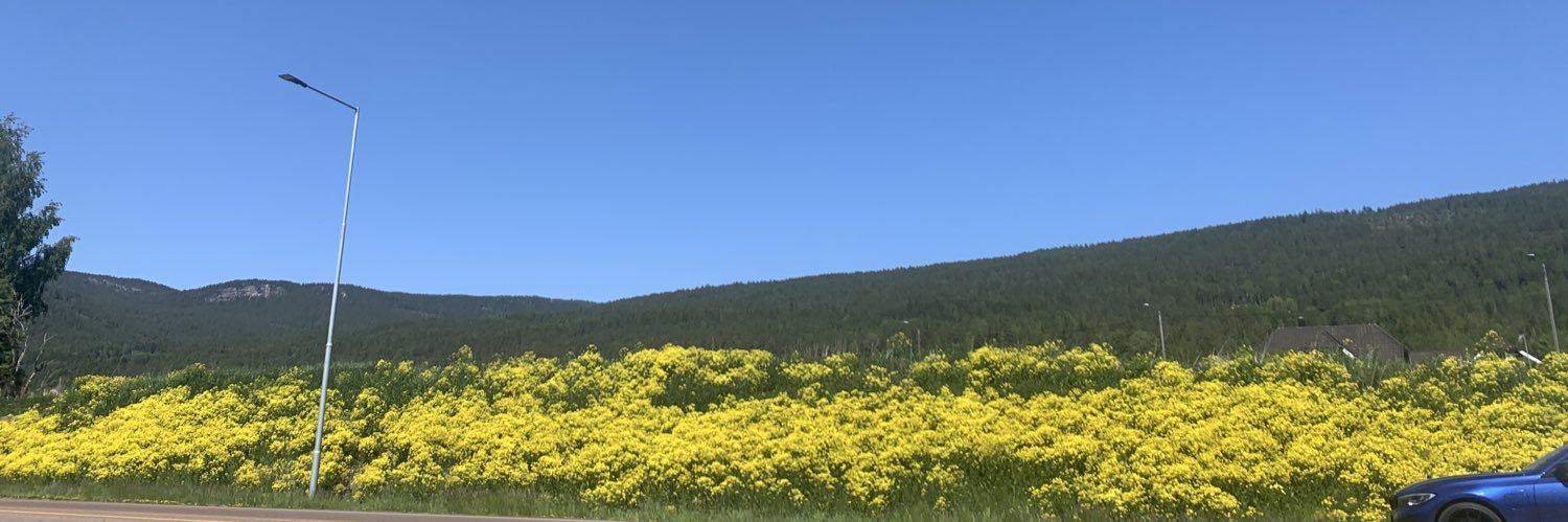 nomusecnolife's profile banner image