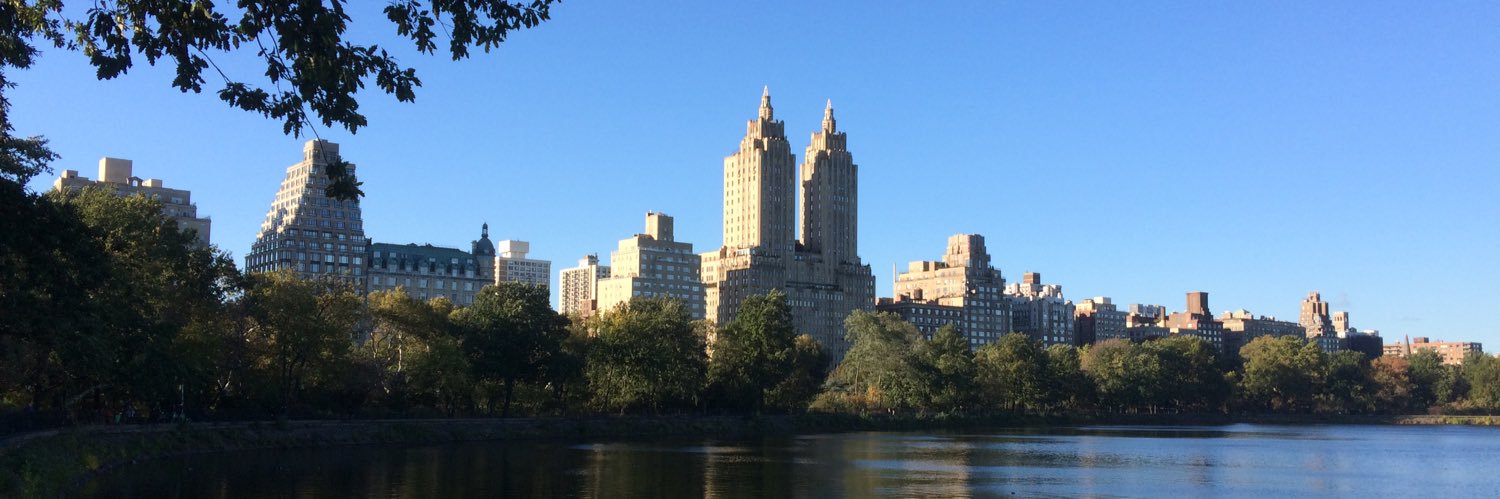 Chris From NYC banner