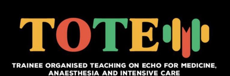 totemecho's profile banner image