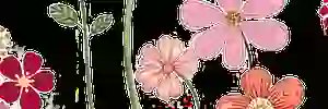 badar_707's profile banner image