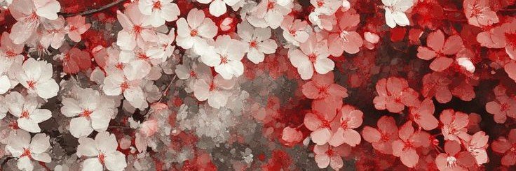 Casperᶻ 𝗓 𐰁 .ᐟ banner