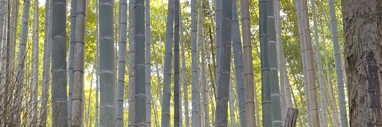 moegi_19's profile banner image