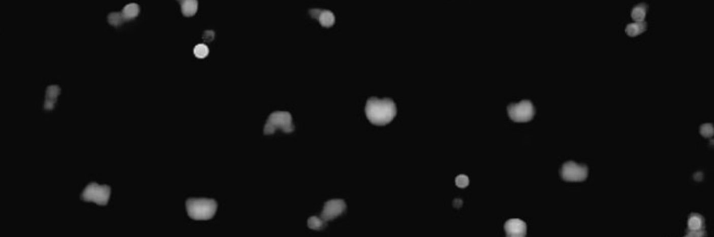 ✧н¡том¡✧ banner