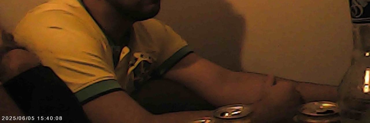 Pão 🦜 banner