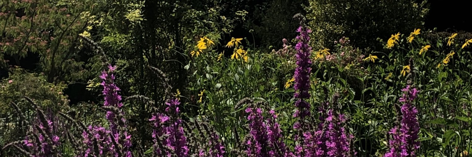 mlittle1210's profile banner image