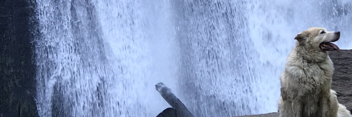 TTruhan's profile banner image