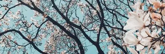MegElizabethCor's profile banner image