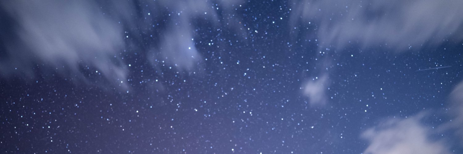 ぶんた🦖⸒⸒🐝⋆゜ banner