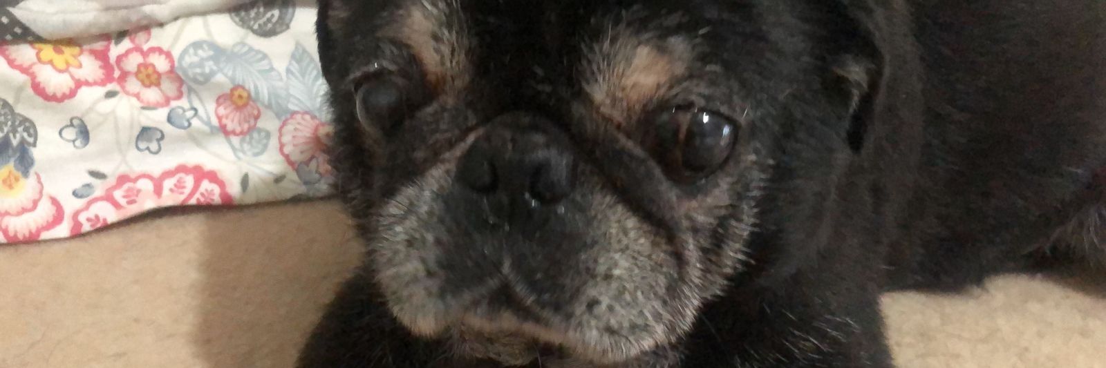 Malbec. banner