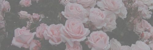 rileyswiftx's profile banner image