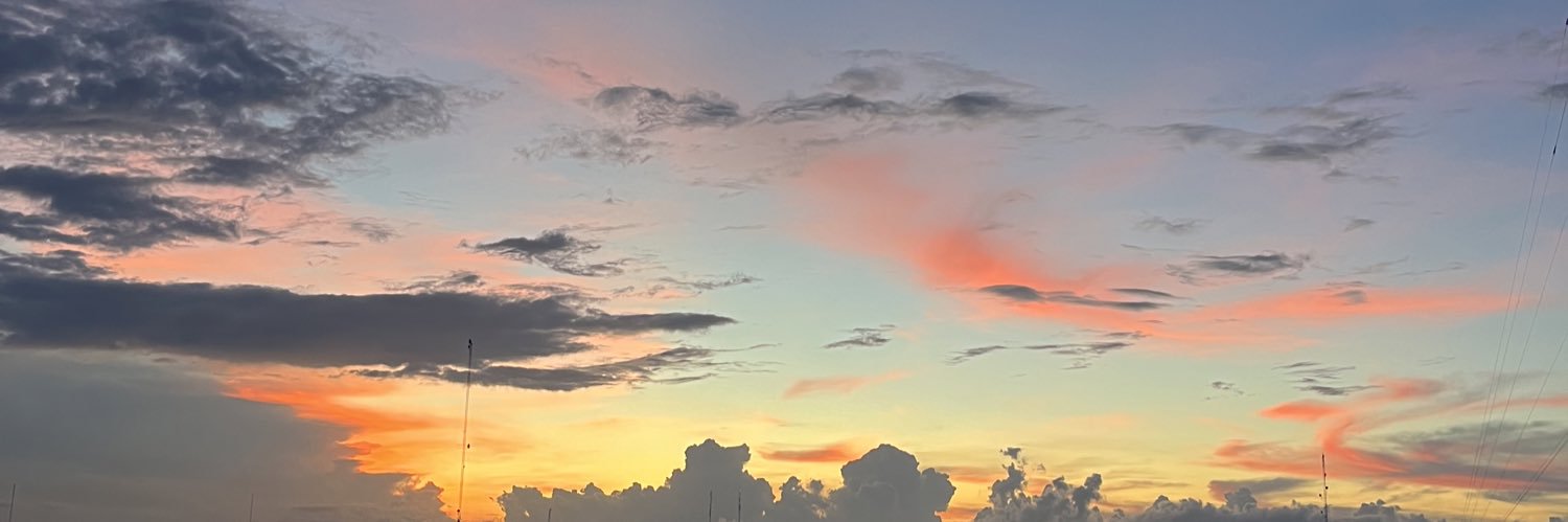 mayeelizalde's profile banner image