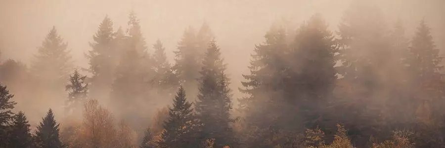 ᵗᵃˡᵉˢ ᵒᶠ .ᐟ 𝓷𝒂𝒉𝒂𝒏𝒕 𝒋𝒐𝒏𝒆𝒔. banner