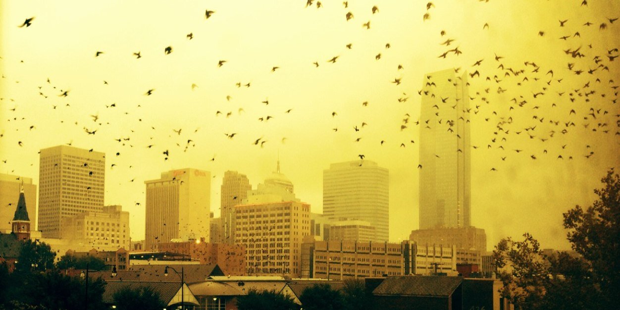 stevenlanger's profile banner image