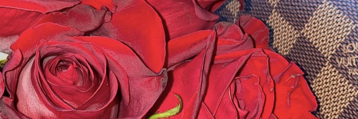 aleexooo's profile banner image