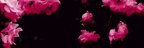➵ 𝐌𝐀𝐑𝐘 𝐀𝐍𝐍 banner
