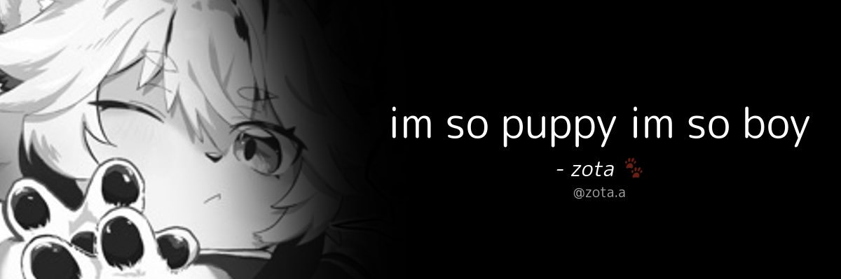 zota banner