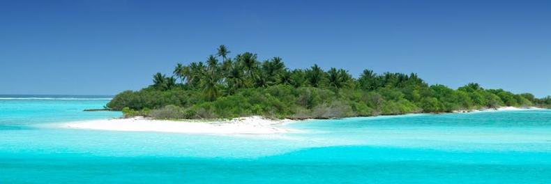 CatarinaS__'s profile banner image