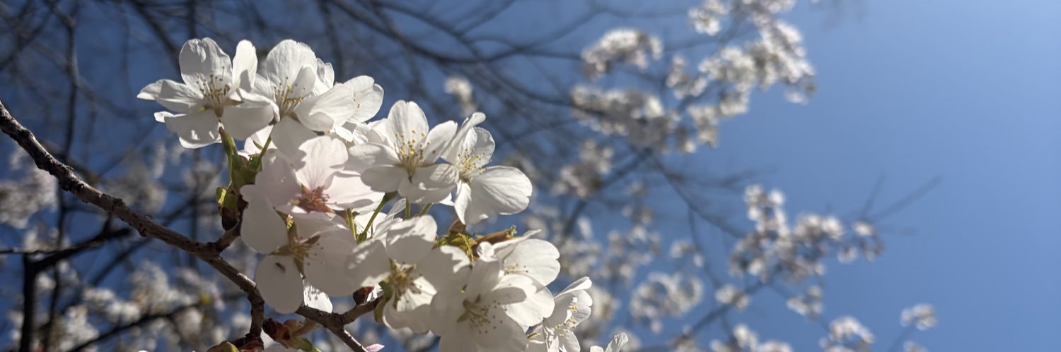 rendayo_777's profile banner image