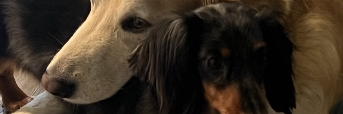 caseyharper44's profile banner image