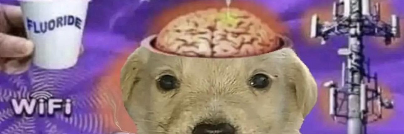 silly_gam3r's profile banner image