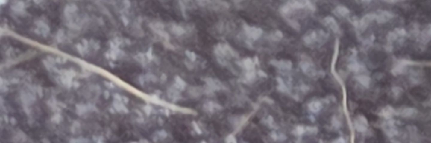 . banner