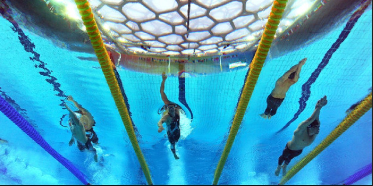 monarchswim's profile banner image