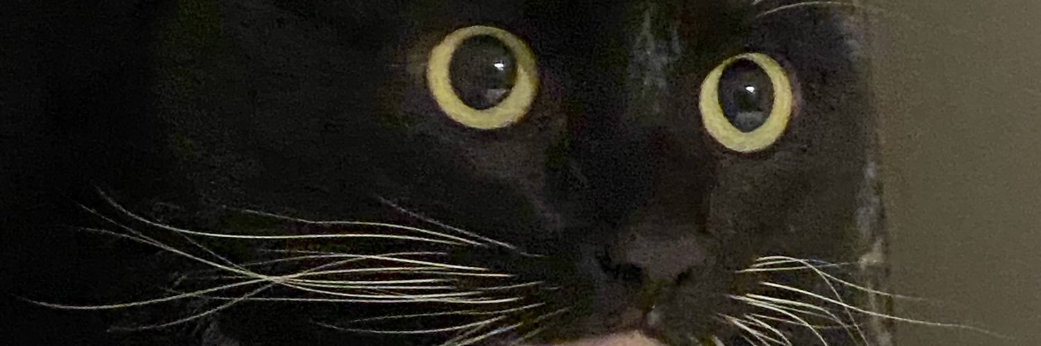 SultanOfCups's profile banner image