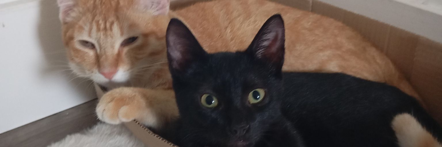 _eeetan's profile banner image