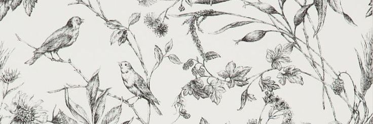 roosenini's profile banner image