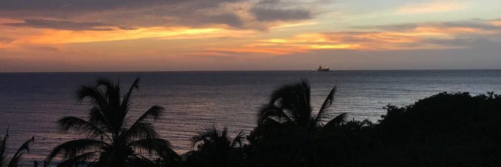 LuisaForero98's profile banner image