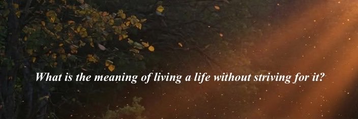 7nr7r's profile banner image