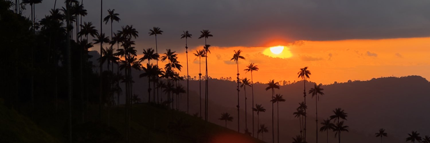 missingcolombia's profile banner image