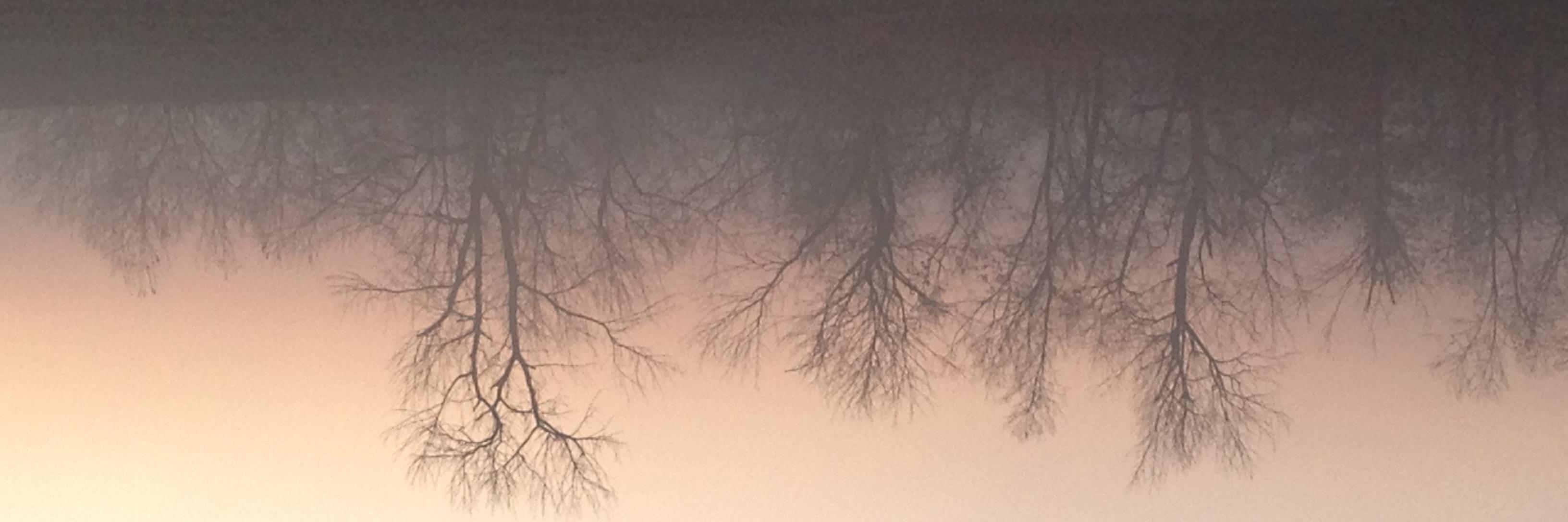 Pflug's profile banner image