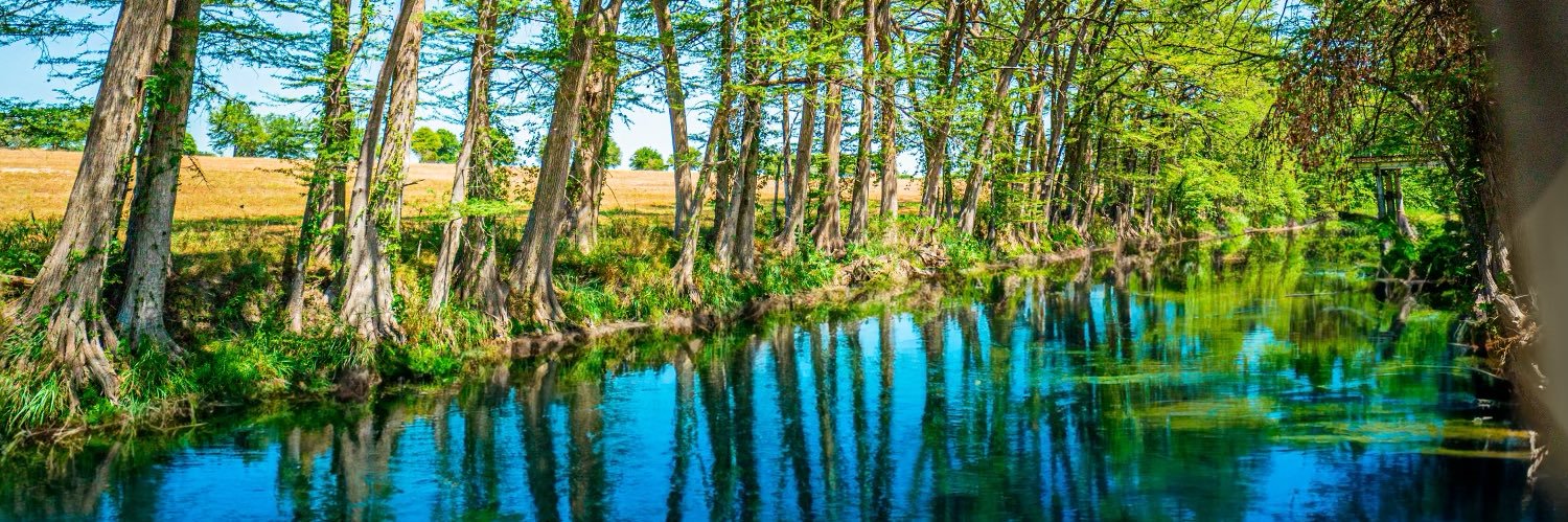 Citadel Sentinel banner