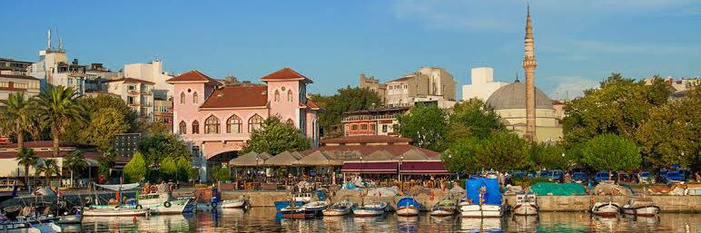 Valisiz Vilayet banner