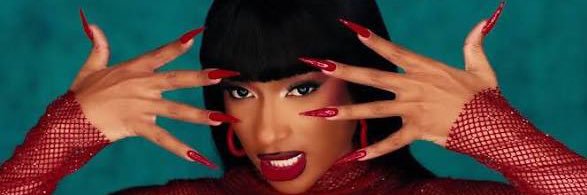 Everything Stallion banner