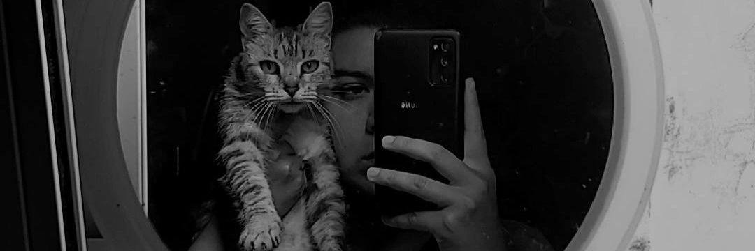 aracelimerloo's profile banner image