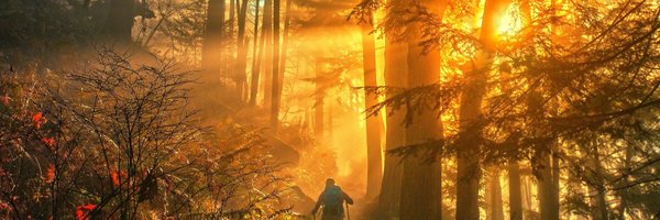 colinhufman Profile Banner
