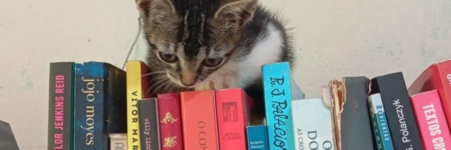 Gatinha Comunista precisa de lavagem cerebral banner