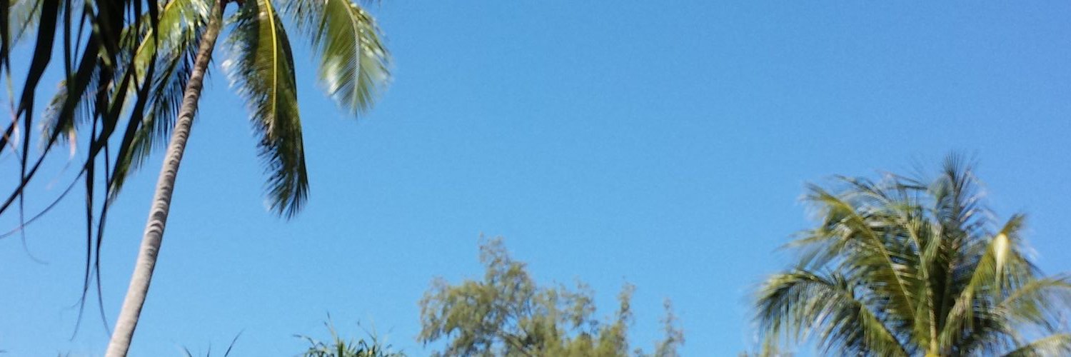FongPhoenix's profile banner image