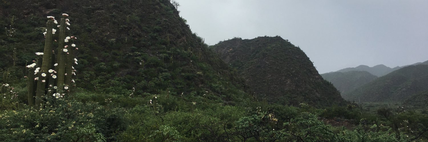 Camibcabrera's profile banner image