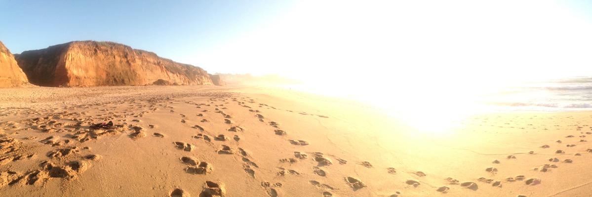 pacifikate's profile banner image