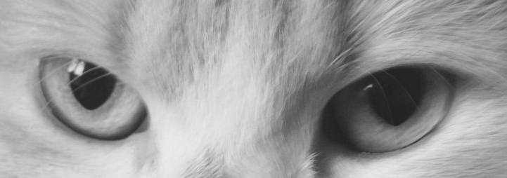 ESTEBAN_234's profile banner image