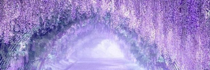 Iceyrosemuna's profile banner image