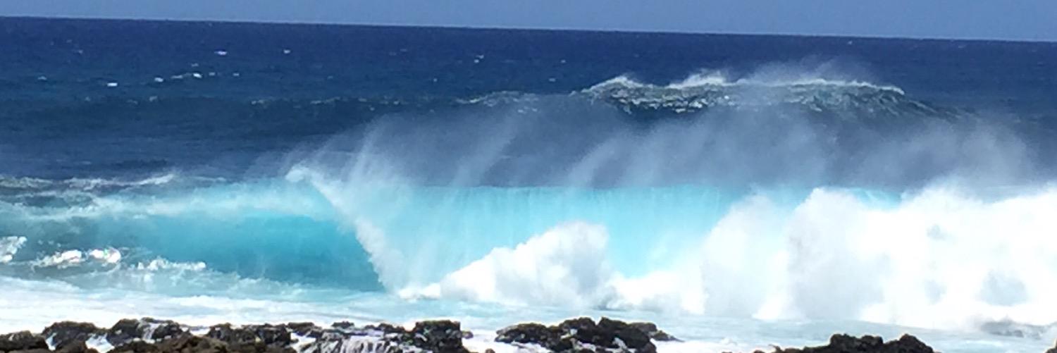 Betsy Meyring Pegler banner