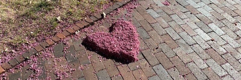 Santa Fe City Mayor Alan Webber banner