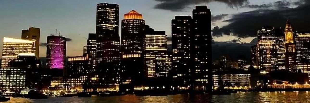 Temubelichick's profile banner image