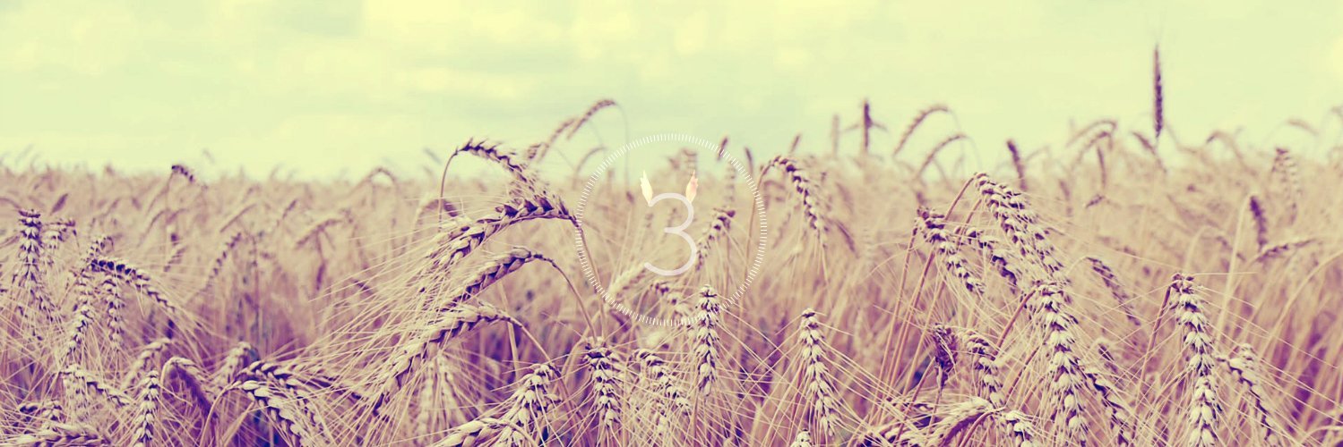 3__RS's profile banner image