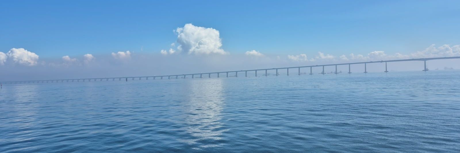 madotsuki 🚩 banner