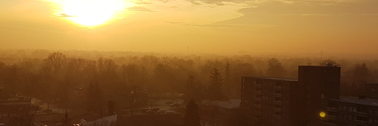 LynRandom1965🇨🇦 banner